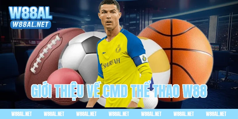 Giới thiệu về CMD thể thao W88