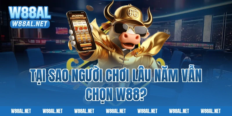 Tại sao người chơi lâu năm vẫn chọn W88?