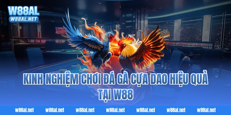 Kinh nghiệm chơi đá gà cựa dao hiệu quả tại W88
